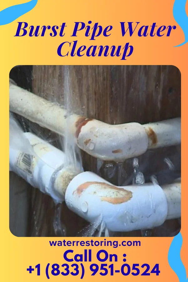 Burst Pipe Water Cleanup in Horicon, WI