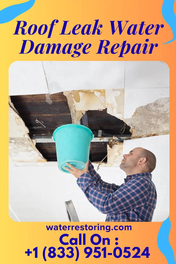Roof Leak Water Damage Repair in Horicon, WI