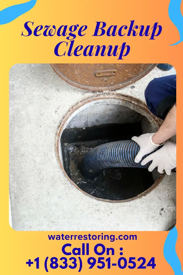 Sewage Backup Cleanup in Horicon, WI