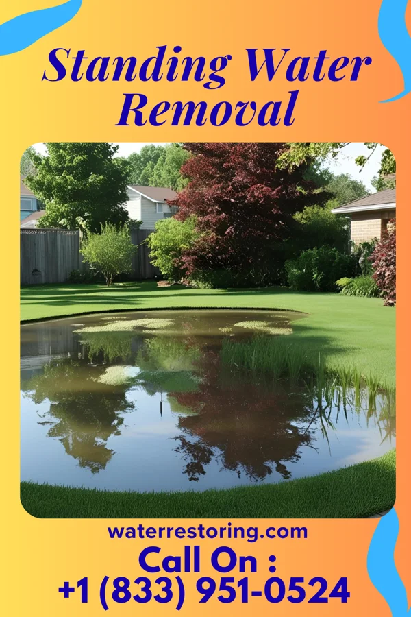 Standing Water Removal in Horicon, WI